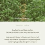 I'm from Mugwort Gel Cleanser 150ml - Image 9